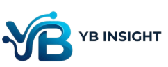 YB INSIGHT